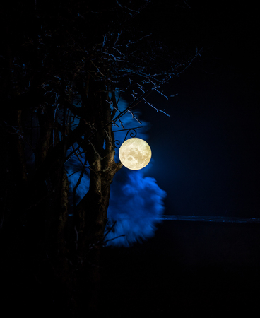 Beautiful Moon lamp in the garden in misty night. Retro style lantern at night outdoor. Selective focusの写真素材