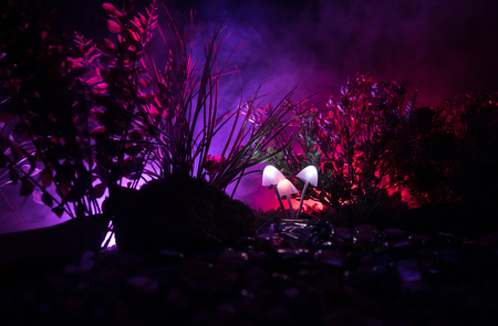 Fantasy glowing mushrooms in mystery dark forest close-up. Beautiful macro shot of magic mushroom or souls lost in avatar forest. Fairy lights on background with fog. Selective focusの写真素材