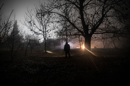 Bright light in a dark forest at night. Silhouette of person standing in the dark forest with flashlight. Dark night in forest at fog time. Horror halloween concept.の写真素材