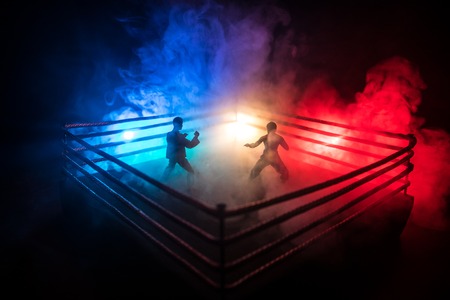 Karate athletes fighting scene on boxing ring with red ropes. Character karate. Posing figure artwork decoration. Sport concept. Decorated foggy background with light. Selective focusの写真素材