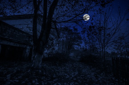 Old house with a Ghost in the forest at night or Abandoned Haunted Horror House in fog. Old mystic building in dead tree forest. Trees at night with moon. Surreal lights. Horror Halloween conceptの素材 [FY310122548281]