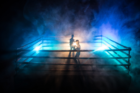 Karate athletes fighting scene on boxing ring with red ropes. Character karate. Posing figure artwork decoration. Sport concept. Decorated foggy background with light. Selective focusの写真素材