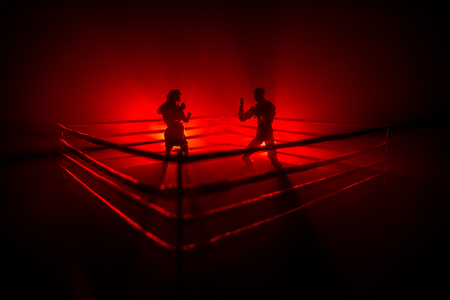 Man and woman boxing on the ring. Sport concept. Artwork decoration with toys on foggy toned dark background.の写真素材
