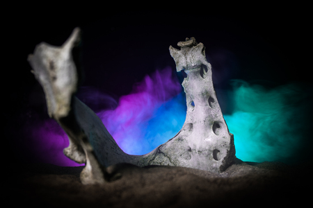 Animal bone in dark Halloween night with fog and light on background / Selective focus and space for text. Abstract horror conceptの写真素材