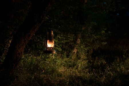 Horror Halloween concept. Burning old oil lamp in forest at night. Night scenery of a nightmare scene. Selective focus.の写真素材