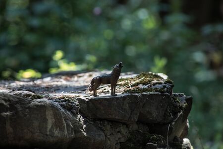 Howling wolf in the forest. Mini wolf figure. Wild animal concept. Selective focusの写真素材