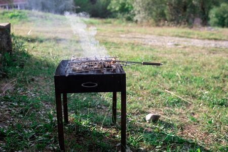 Grilled kebab cooking on metal skewer. Roasted meat cooked at barbecue.Traditional eastern dish, shish kebab. Grill on charcoal and flame, picnic, street food. Outdoor shotの写真素材