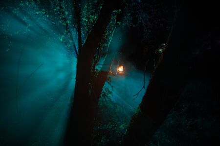 Horror Halloween concept. Burning old oil lamp in forest at night. Night scenery of a nightmare scene. Selective focus.の写真素材