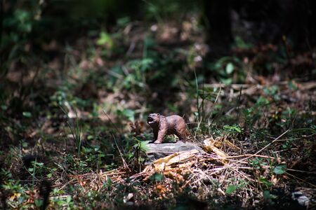 Brown bear walking in forest. Mini bear figure (or toy bear) at the park. Selective focusの写真素材