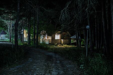 magical lights sparkling in mysterious forest at night. Pine forest with strange light. Long exposure shotの写真素材