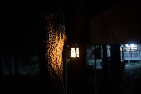 Horror Halloween concept. Burning old oil lamp in forest at night. Night scenery of a nightmare scene. Selective focus.の写真素材
