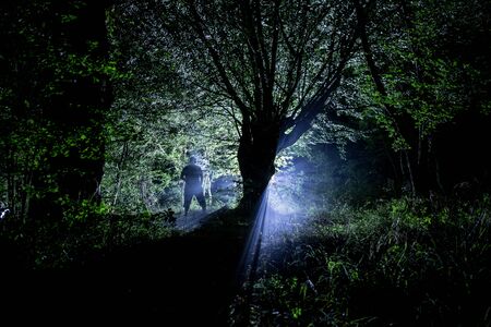Magical lights sparkling in mysterious forest at night. Pine forest with strange light. Long exposure shotの写真素材