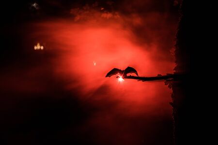 Scary dark forest. Horror Halloween concept. The bat is spreading its wings sitting on the tree at...
