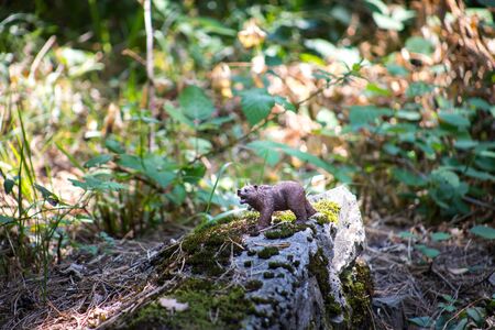 Brown bear walking in forest. Mini bear figure (or toy bear) at the park. Selective focusの写真素材
