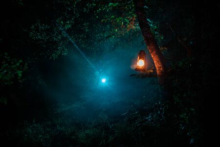 Horror Halloween concept. Burning old oil lamp in forest at night. Night scenery of a nightmare scene. Selective focus.の写真素材