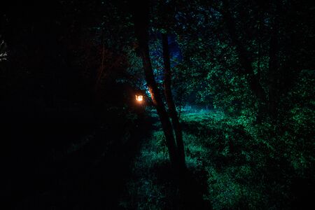 Horror Halloween concept. Burning old oil lamp in forest at night. Night scenery of a nightmare...
