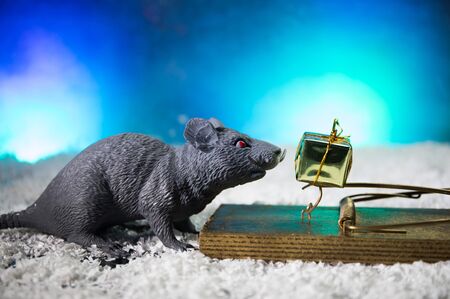decorative cute brown rat around with a Christmas decor and Santa Claus. The rat is a symbol Of the...