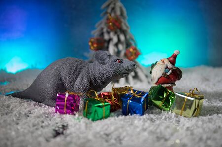 decorative cute brown rat around with a Christmas decor and Santa Claus. The rat is a symbol Of the new year 2020の写真素材