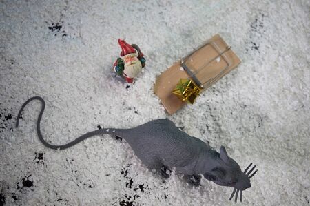 decorative cute brown rat around with a Christmas decor and Santa Claus. The rat is a symbol Of the new year 2020の写真素材