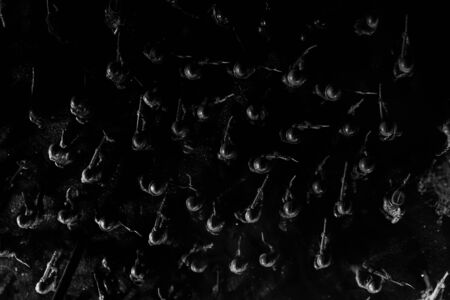 War Concept. Military silhouettes fighting scene on war fog sky background, World War Soldiers...