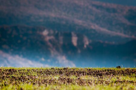 Majestic autumn trees glowing by sunlight. Red and yellow autumn leaves. Dramatic scene. Azerbaijan. Selective focusの写真素材