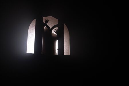 Silhouette of an unknown shadow figure on a door through a closed glass door. Spooky silhouette girl at night with smoke in backgroundの写真素材
