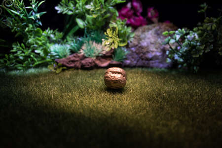 Still life with Walnut kernels and whole walnuts on green grass Creative table decoration. Closeup....