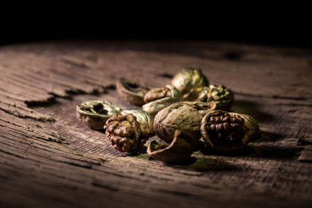 Nut meal concept. Still life with Walnut kernels and whole walnuts on rustic old wooden table. Creative table decoration. Closeup. Selective focusの写真素材