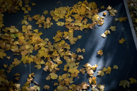 Tabletennis grunge background. Old Equipment for table tennis outdoor with autumn foliage. Yellow leaves on table.の写真素材