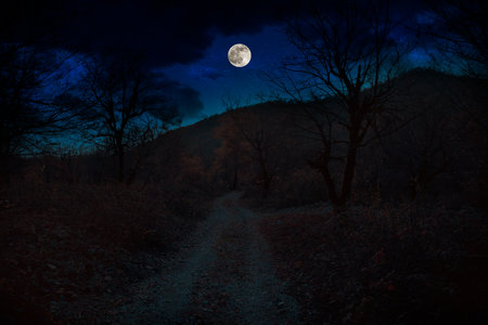Mountain Road through the forest on a full moon night. Scenic night landscape of dark blue sky with moon.の写真素材