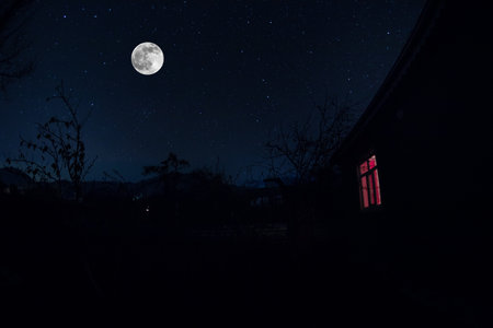 Old house with a Ghost in the forest at night or Abandoned Haunted Horror House. Old mystic building in dead tree forest. Surreal lights. Horror halloween conceptの写真素材