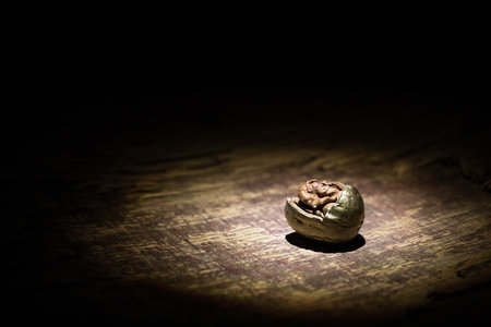 Nut meal concept. Still life with Walnut kernels and whole walnuts on rustic old wooden table. Creative table decoration. Closeup. Selective focusの写真素材