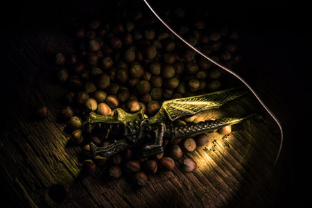 Still life with whole hazelnuts on rustic old wooden table. View from above Creative table decoration. Closeup. Selective focusの写真素材