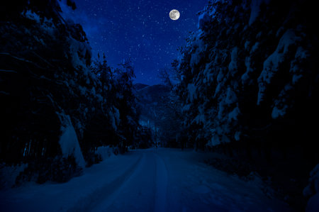 Mountain Road through the snowy forest on a full moon night. Scenic night winter landscape of dark...