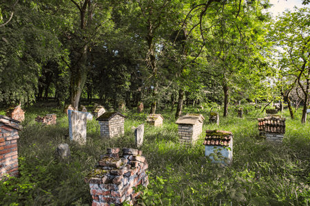 Old Muslim cemetery in Caucasus. Zagatala village. Azerbaijan in summertime