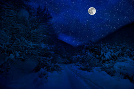Mountain Road through the snowy forest on a full moon night. Scenic night winter landscape of dark blue sky with moon and stars. Azerbaijanの写真素材