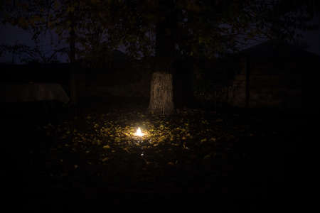 Beautiful view of bottle with light at night at the garden. Lamp Magical fairy dust potion in bottle in the forest. Long exposure shot. Selective focusの写真素材