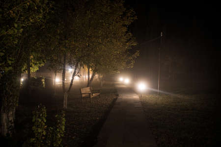 Trees and street lamps on a quiet foggy night. Foggy misty evening lamps in empty road at forest.の写真素材
