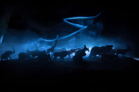 A group of animals are grouped together at foggy night with burning colorful background. Animals Running Escaping to Save Their Lives from fire. Selective focus.の写真素材