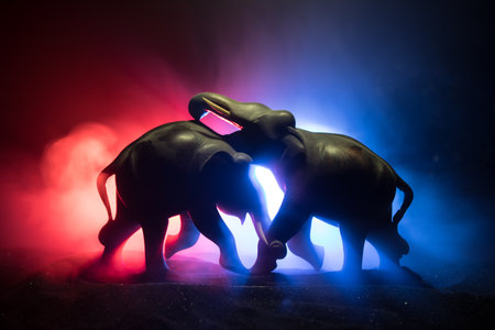 Elephant fighing silhouettes on fire background or Two elephant bulls interact and communicate while play fighting. Creative table decoration with colorful backlight with fog. Selective focusの写真素材