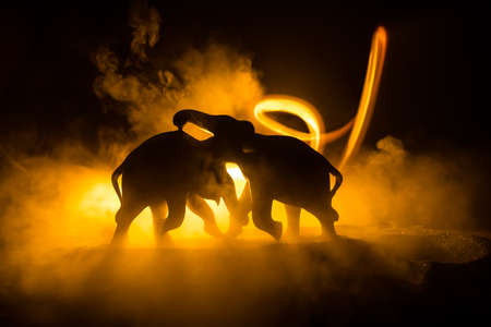 Elephant fighing silhouettes on fire background or Two elephant bulls interact and communicate while play fighting. Creative table decoration with colorful backlight with fog. Selective focusの写真素材