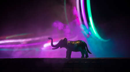 Silhouette of an elephant miniature standing at foggy night. Creative table decoration with colorful backlight with fog. Selective focusの写真素材