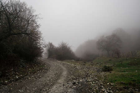 Landscape with beautiful fog in forest on hill or Trail through a mysterious winter forest with...