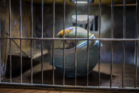 virus lockdown creative concept. Planet earth trapped inside old prison. Creative artwork...