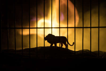 Silhouette of a lion miniature standing in a zoo cage dreams of freedom. Creative decoration with colorful backlight with fog. Selective focusの写真素材