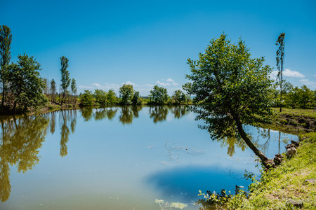 Beautiful summer landscape of lake in north of Azerbaijan. Sunny day.