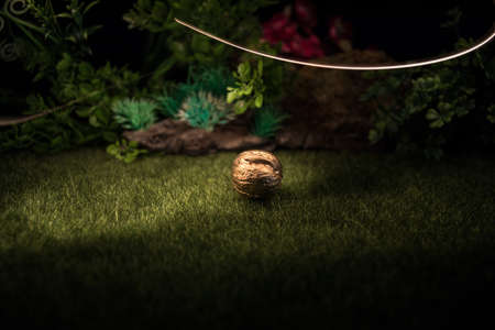 Still life with Walnut kernels and whole walnuts on green grass Creative table decoration. Closeup. Selective focusの写真素材