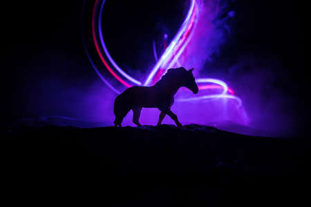 Silhouette of a horse miniature standing at foggy night. Creative table decoration with colorful backlight with fog. Selective focusの写真素材