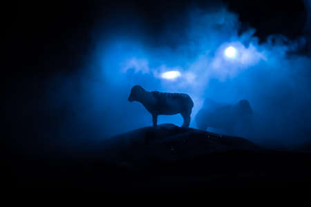 Sheep in the farm. Group of sheep silhouettes at the field. Decorative toy figures at night. Selective focusの写真素材