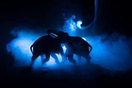 Elephant fighing silhouettes on fire background or Two elephant bulls interact and communicate while play fighting. Creative table decoration with colorful backlight with fog. Selective focusの写真素材
